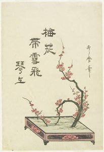 Plum Flower Arrangement